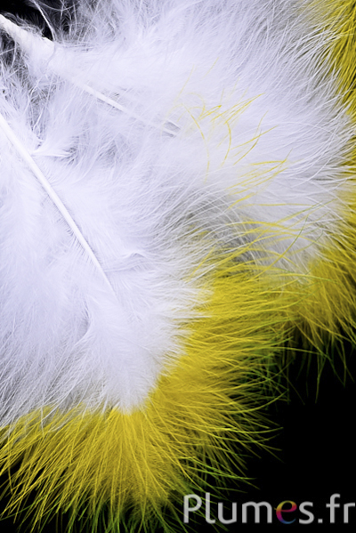 Plumet 3 plumes - hauteur 20 cm - blanc-jaune-lime